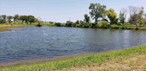 Whitesboro RV Park Pond
